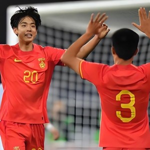 登录入口-李镇全因辱骂米特里策将被追加停赛！国际足坛已有先例，引发热议